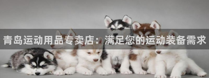 欧陆娱乐代理多少个点位可以赚钱
