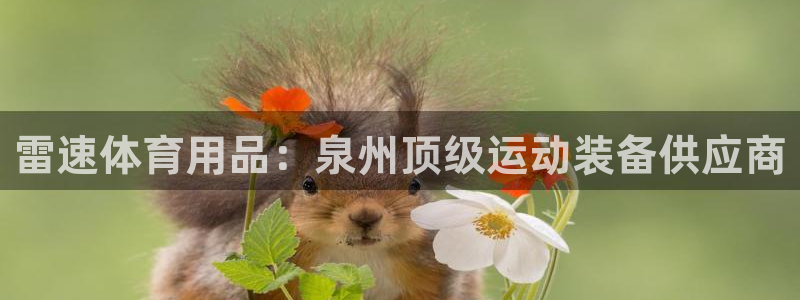 欧陆娱乐公司产品介绍大全