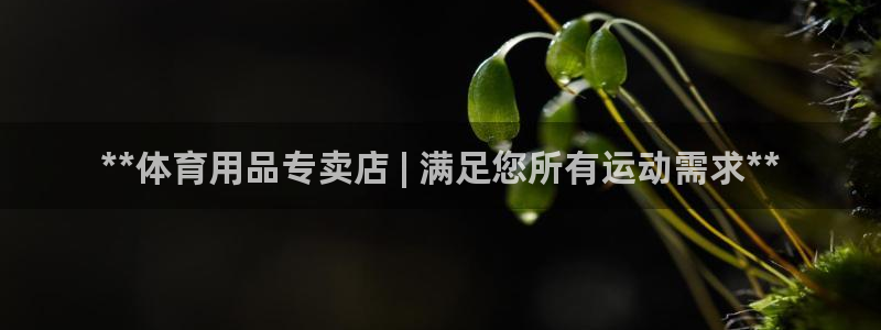欧陆娱乐官方下载安装：**体育用品专卖店 | 满足您