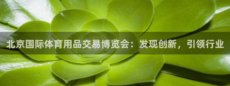 欧陆娱乐平台登陆地址是什么意思