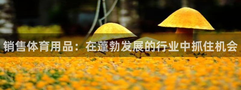 欧陆娱乐请输入USDT地址：销售体育用品：在蓬勃发展