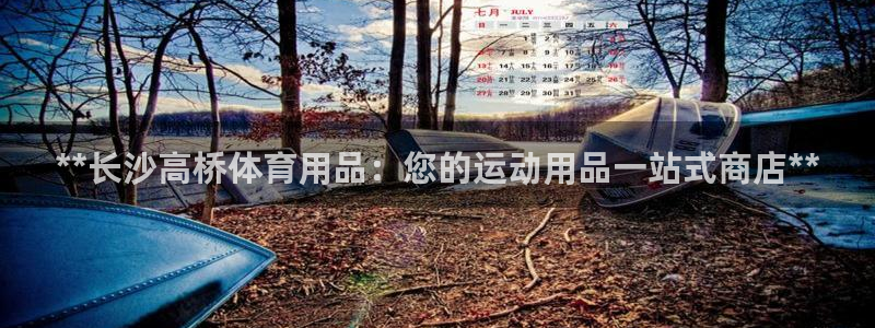 欧陆娱乐平台登录不上去了：**长沙高桥体育用品：您的
