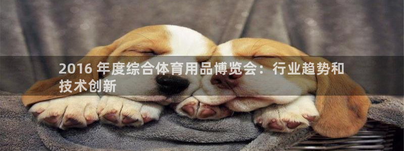 重庆欧陆娱乐有限公司怎么样：2016 年度综合体育用