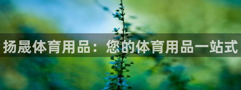 欧陆娱乐会员多少钱：扬晟体育用品：您的体育用品一站式