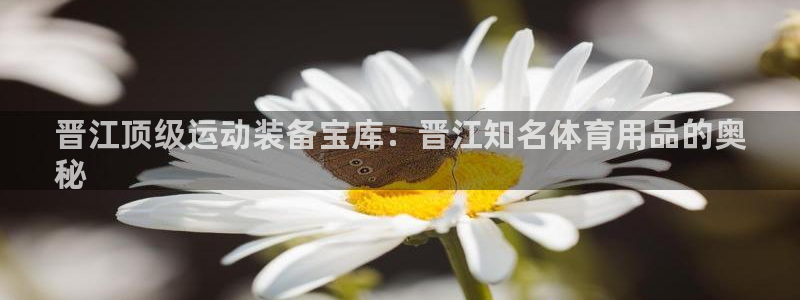 欧陆娱乐注册链接安全吗可靠吗：晋江顶级运动装备宝库：晋江知名