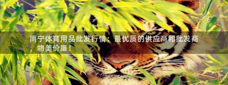 欧陆娱乐注册链接怎么弄：南宁体育用品批发行情：最优质的供应商