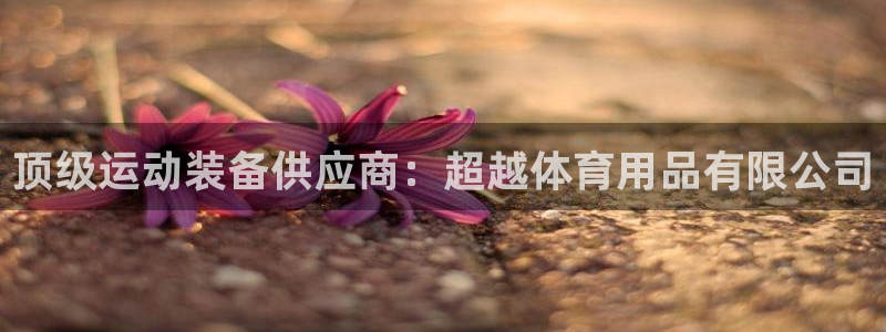 欧陆娱乐登录官网：顶级运动装备供应商：超越体育用品有限公司