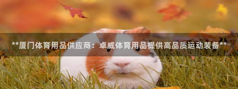 欧陆娱乐百科官网：**厦门体育用品供应商：卓威体育用