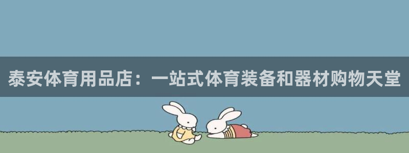 欧陆娱乐平台登陆地址在哪改：泰安体育用品店：一站式体