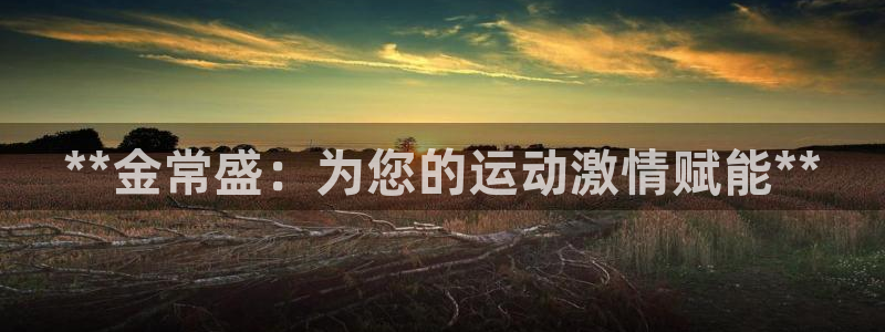 欧陆娱乐官方网站：**金常盛：为您的运动激情赋能**