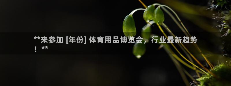 欧陆娱乐游戏：**来参加 [年份] 体育用品博览会，