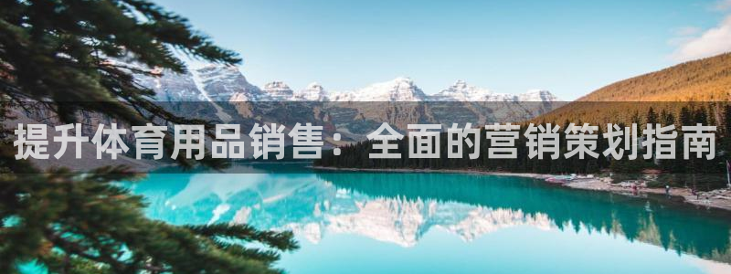 欧陆娱乐官网首页：提升体育用品销售：全面的营销策划指