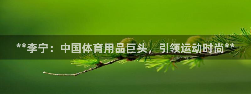 欧陆娱乐客服电话号码：**李宁：中国体育用品巨头，引