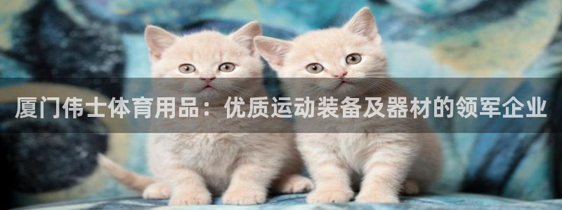 欧陆娱乐挂机项目怎么设置：厦门伟士体育用品：优质运动