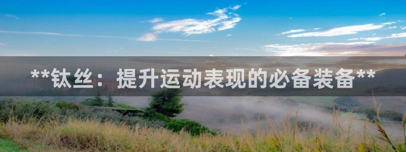 欧陆娱乐挂机项目：**钛丝：提升运动表现的必备装备*