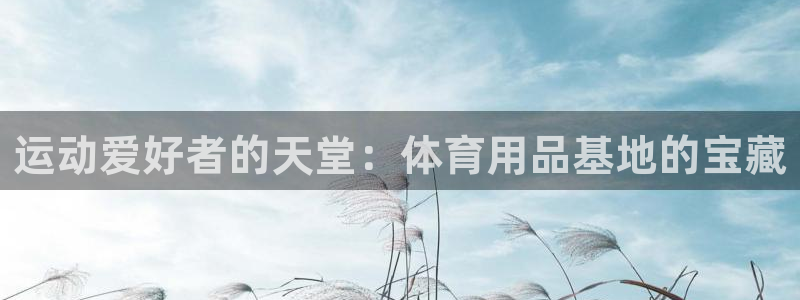 欧陆注册码：运动爱好者的天堂：体育用品基地的宝藏