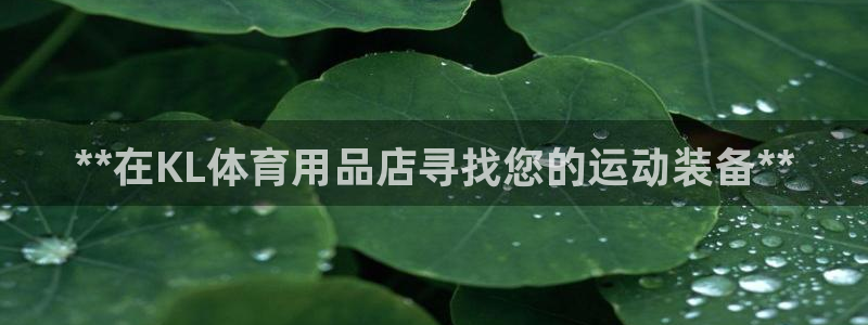 欧陆娱乐挂机怎么玩