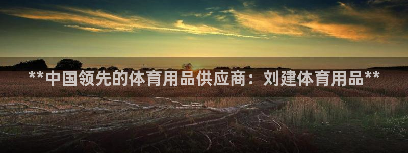 欧陆娱乐平台咋样啊赚钱：**中国领先的体育用品供应商：刘建体