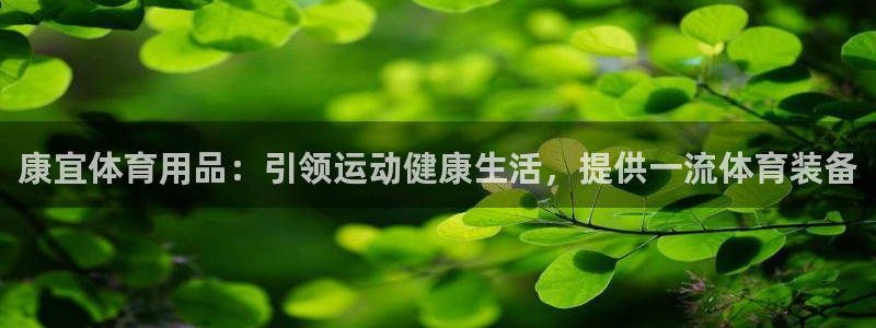 欧陆娱乐是干什么的：康宜体育用品：引领运动健康生活，