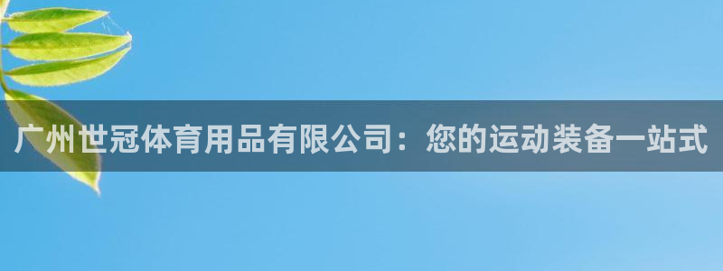 欧陆娱乐登录平台：广州世冠体育用品有限公司：您的运动装备一站