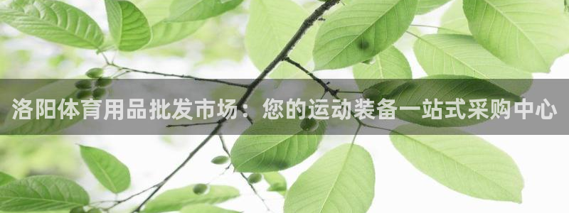 欧陆娱乐app下载安装：洛阳体育用品批发市场：您的运动装备一