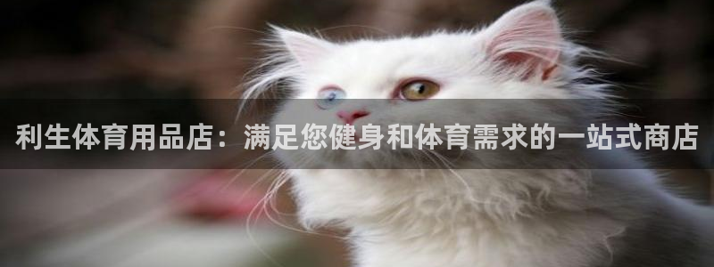 欧陆软件官网：利生体育用品店：满足您健身和体育需求的