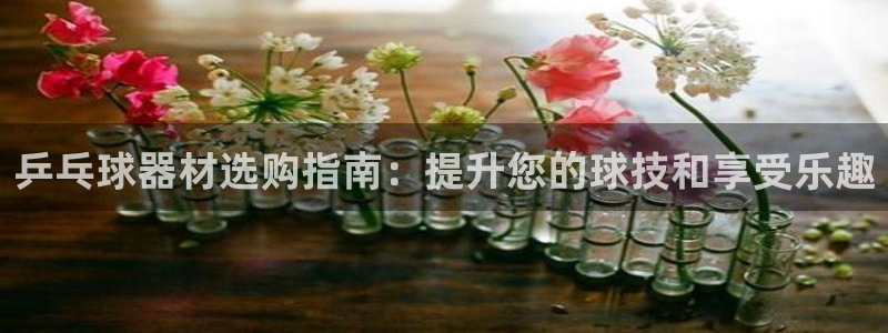 欧陆娱乐的故事有哪些：乒乓球器材选购指南：提升您的球技和享受