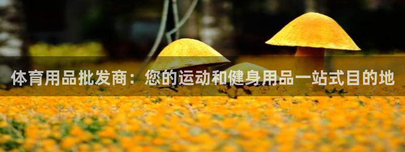 欧陆娱乐平台登录不上怎么回事：体育用品批发商：您的运