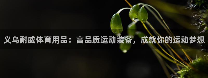欧陆娱乐平台咋样赚钱的：义乌耐威体育用品：高品质运动