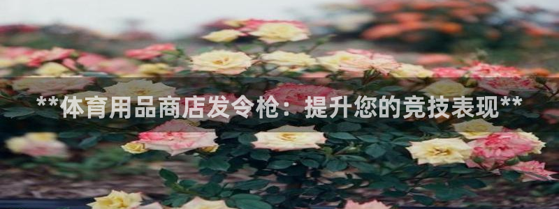 欧陆娱乐会员多少钱：**体育用品商店发令枪：提升您的