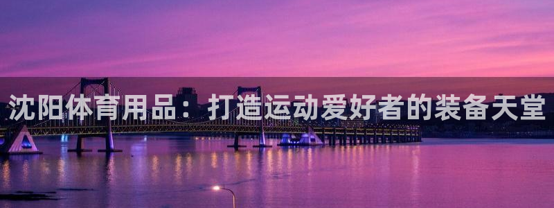 欧陆娱乐挂机怎么玩：沈阳体育用品：打造运动爱好者的装