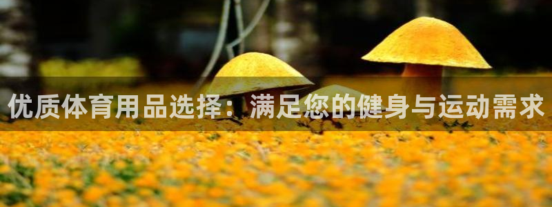 欧陆娱乐官网入口下载：优质体育用品选择：满足您的健身