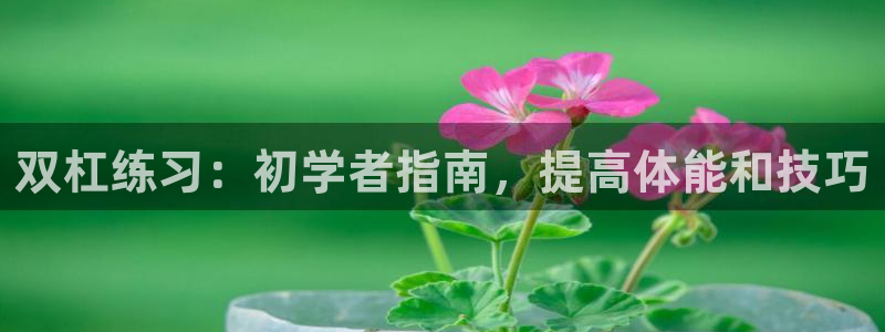 欧陆娱乐登陆平台官网：双杠练习：初学者指南，提高体能