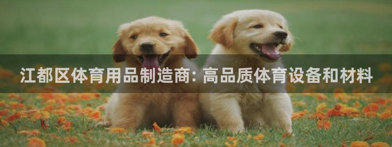欧陆娱乐平台登录不上去了：江都区体育用品制造商: 高