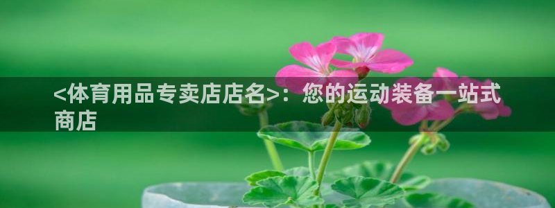 欧陆娱乐官网首页入口：<体育用品专卖店店名>：您的运