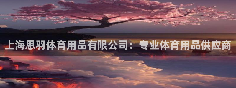 欧陆娱乐平台咋样赚钱的：上海思羽体育用品有限公司：专