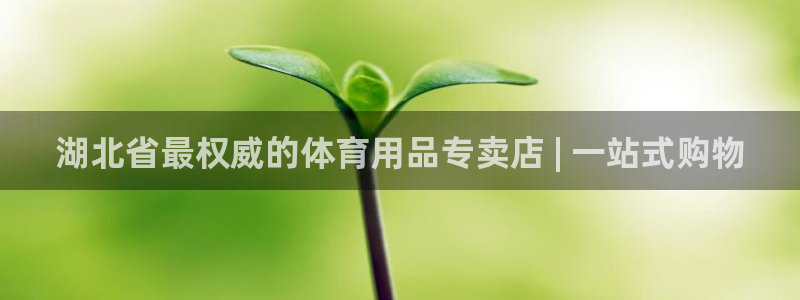 欧陆是什么平台：湖北省最权威的体育用品专卖店 | 一