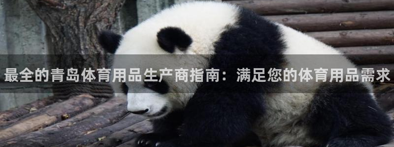 欧陆娱乐有限公司怎么样：最全的青岛体育用品生产商指南