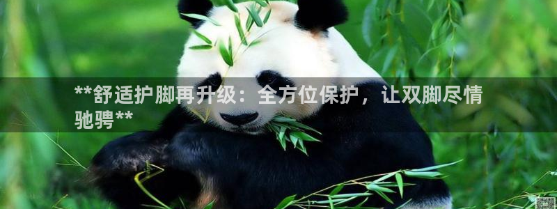 重庆欧陆娱乐有限公司电话：**舒适护脚再升级：全方位