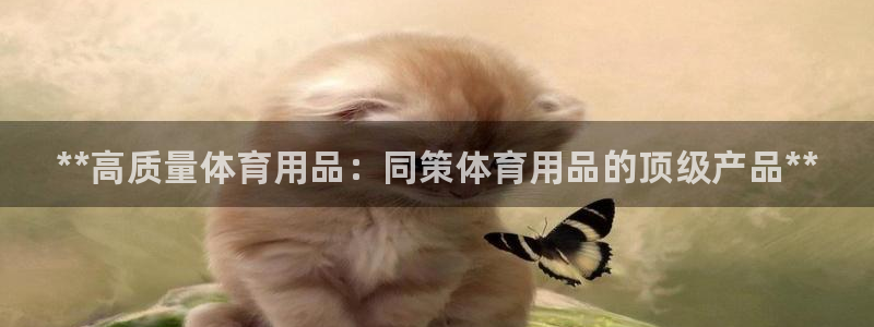 欧陆娱乐总代：**高质量体育用品：同策体育用品的顶级产品**