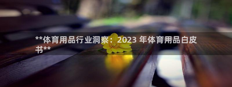 欧陆娱乐官网注册中心下载：**体育用品行业洞察：20