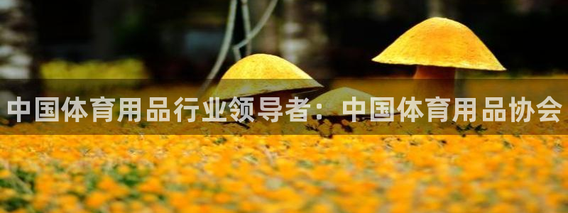 欧陆娱乐登录官网入口：中国体育用品行业领导者：中国体