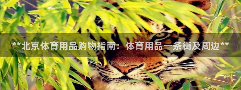 欧陆娱乐代理 贴吧官网