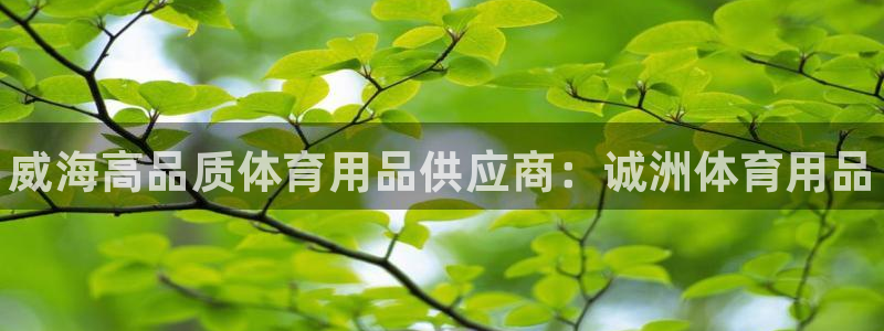 欧陆娱乐平台登录不上：威海高品质体育用品供应商：诚洲