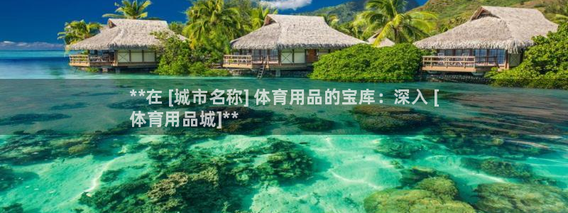 欧陆娱乐官网：**在 [城市名称] 体育用品的宝库：深入 [