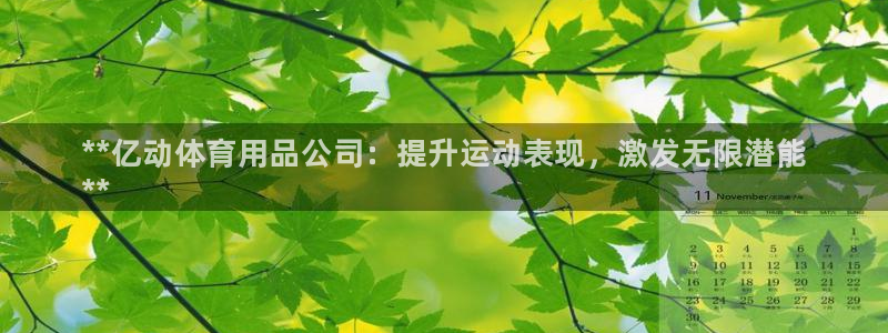 欧陆娱乐登陆官网入口：**亿动体育用品公司：提升运动