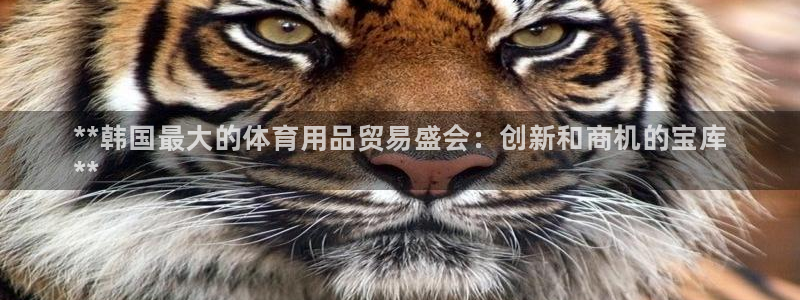 欧陆娱乐平台官网入口：**韩国最大的体育用品贸易盛会
