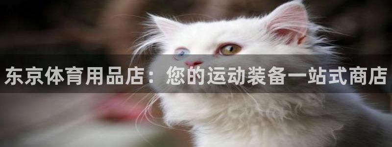 欧陆娱乐共创美好：东京体育用品店：您的运动装备一站式