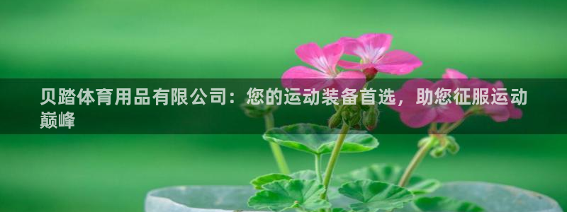 欧陆论坛：贝踏体育用品有限公司：您的运动装备首选，助