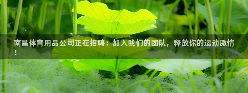 欧陆娱乐官网下载安装手机版